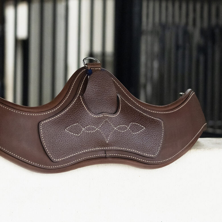 Antarès anatomiskā konkūra vēderjosta