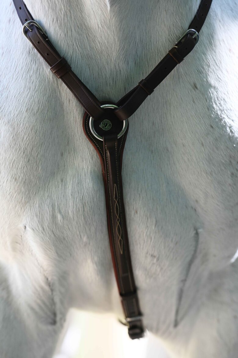 Signature breastplate with bridge
