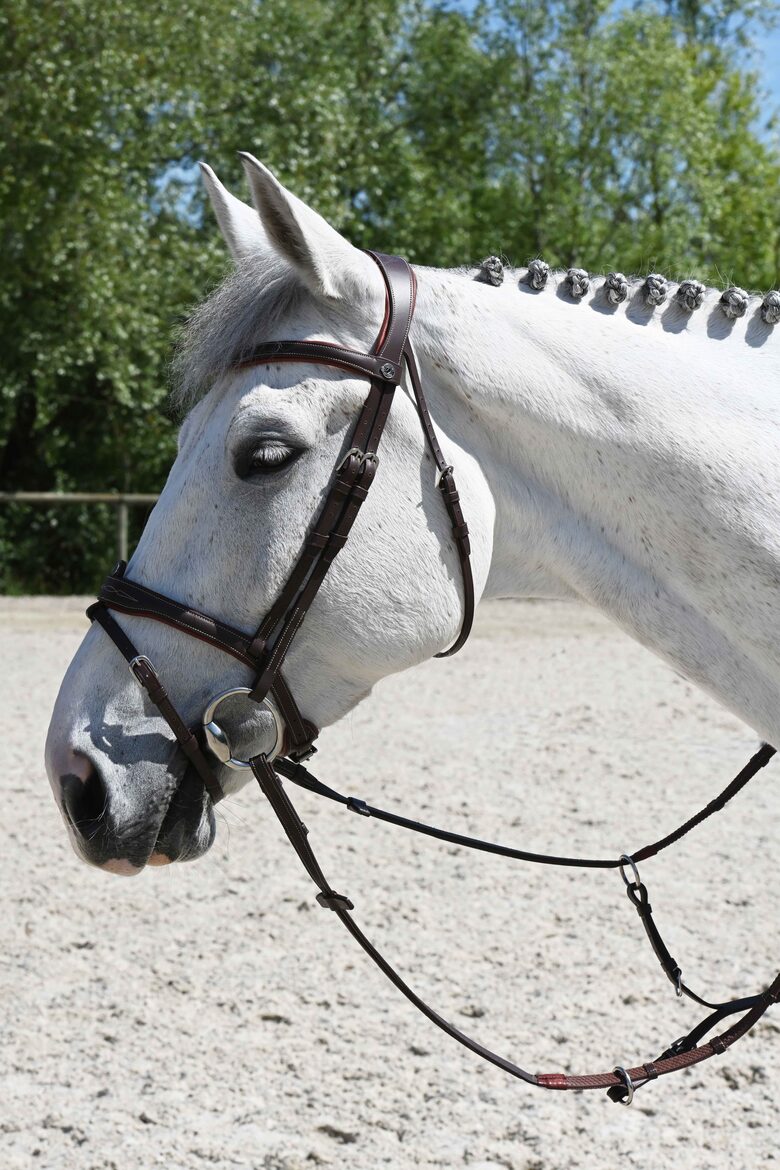 Signature rubber reins 5/8 with loops