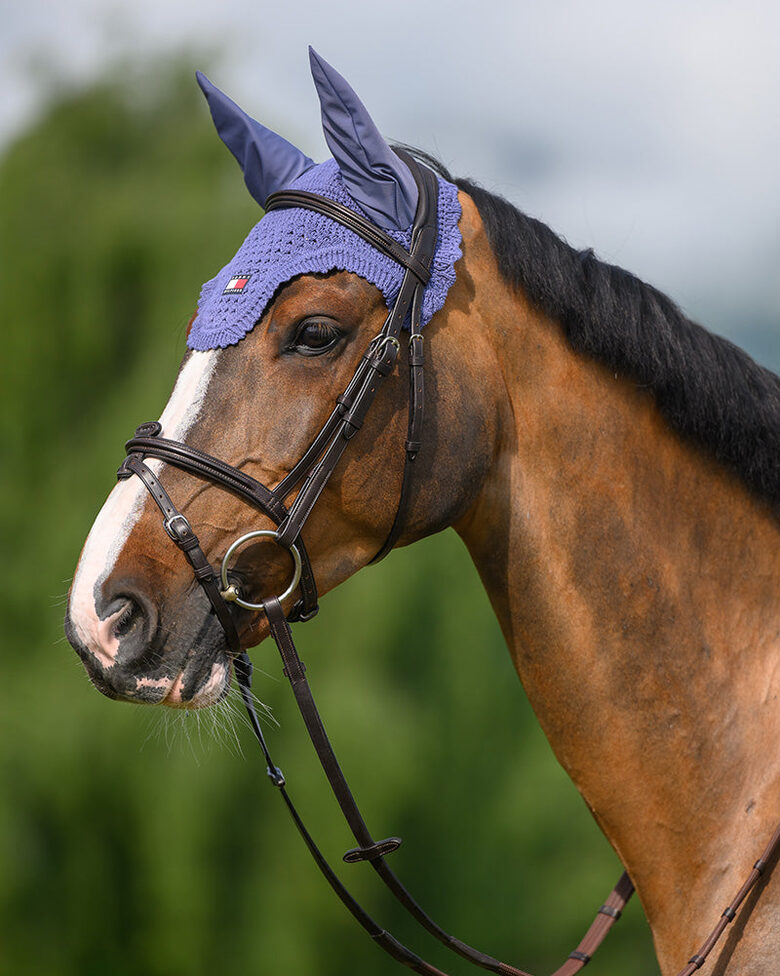 Tommy Hilfilger Equestrian austiņas Lexington indigo