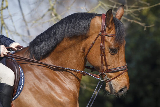 Precision draw reins