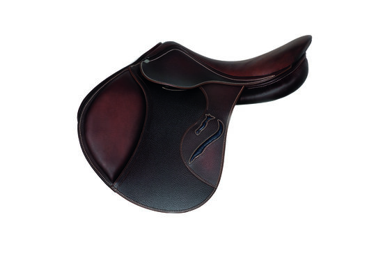 Evolution jumping saddle