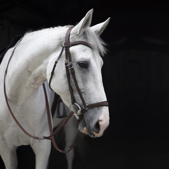 Origin anatomic drop noseband bridle