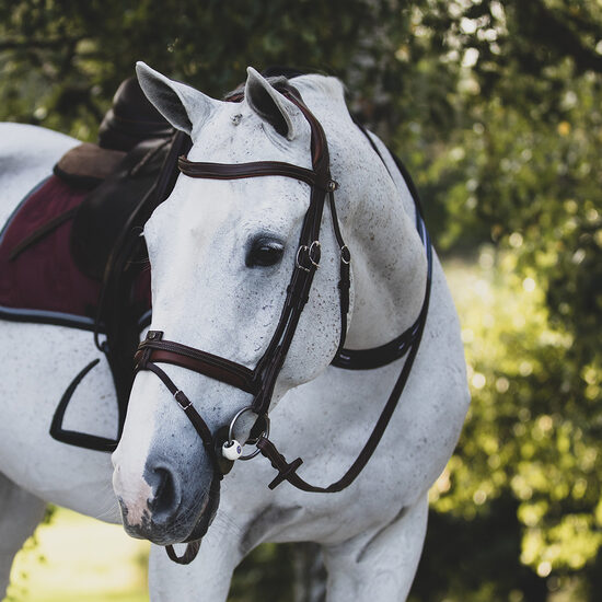 Precision anatomic comfort bridle