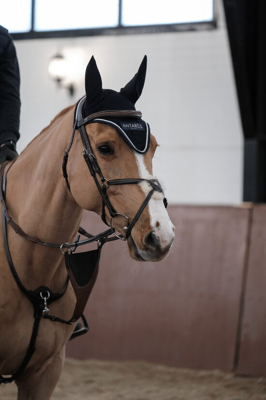 Signature BIB martingale attachment