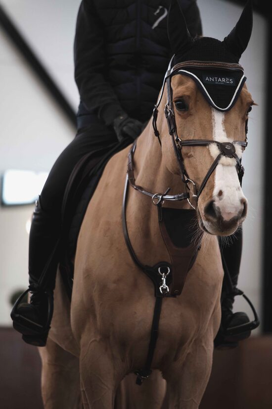 Signature yoke collar