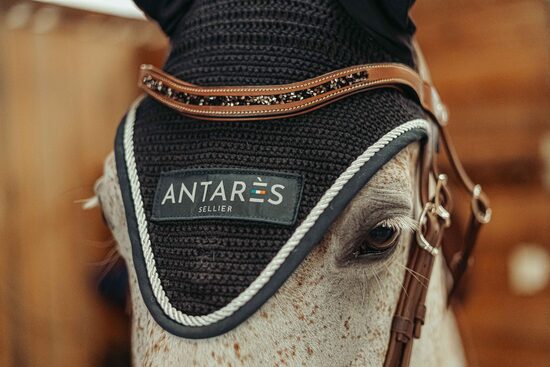 Antarès austiņas