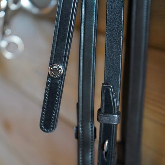 Origin leather curb reins 1/2