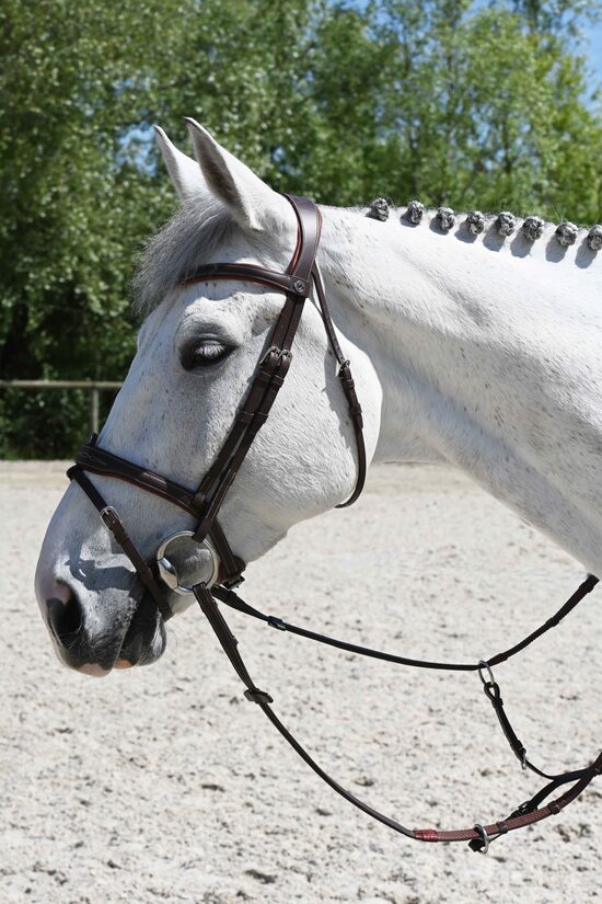 Signature dressage bridle