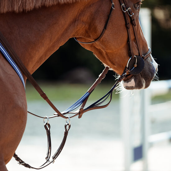 Precision rubber reins with elastic